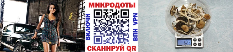 Галлюциногенные грибы Psilocybe  Спас-Деменск 